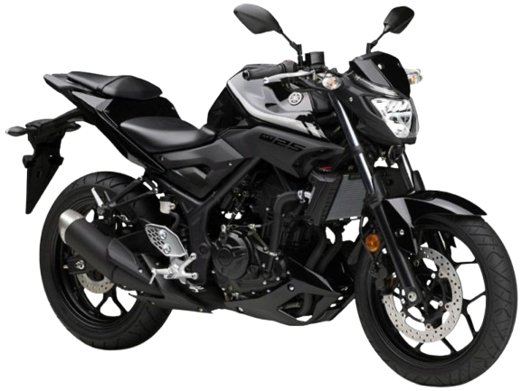【2018年式】 MT-25|マットブラック2
