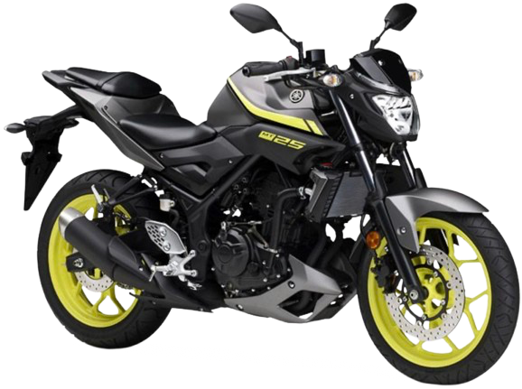 【2018年式】 MT-25|マットグレーメタリック3