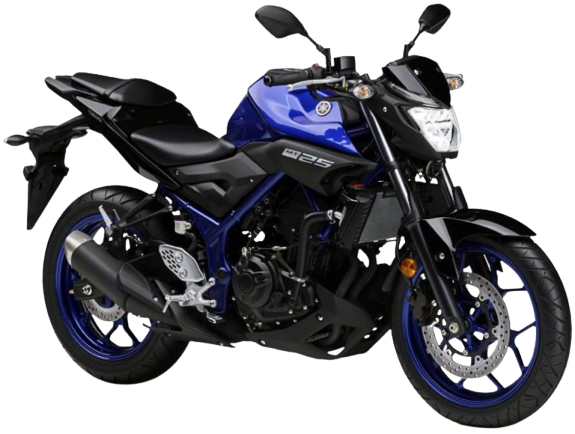 【2019年式】 MT-25|ディープパープリッシュブルーメタリックC