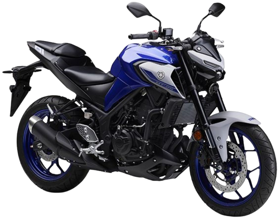 【2021年式】MT-25|ディープパープリッシュブルーメタリックC