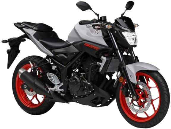 MT-25 【RG43J型 2018~21年】|2019年式 マットライトグレーメタリック4