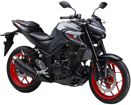MT-25 【RG43J型 2018~21年】|2021年式 パステルダークグレー