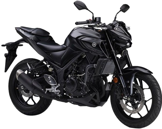 【2022年式】MT-25|マットダークグレーメタリック8