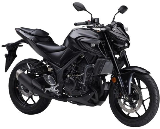 【2024年式】MT-25|マットダークグレーメタリック8