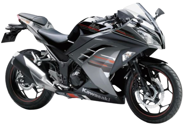 【2013年式】 NINJA250 ABS /Special|エボニー/メタリックムーンダストグレー(スペシャルエディション)