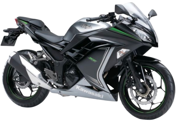 【2015年式】 NINJA250 ABS /KRT・Special|メタリックムーンダストグレー/エボニー(スペシャルエディション)
