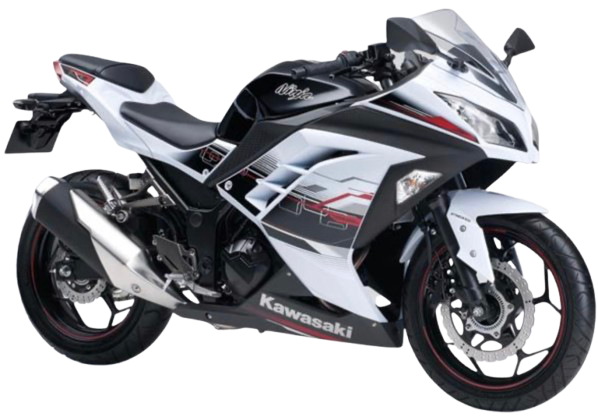 ニンジャ250ABS 【EX250L|2013~17年式】|2014年式 パールスターダストホワイト/エボニー(スペシャルエディション)