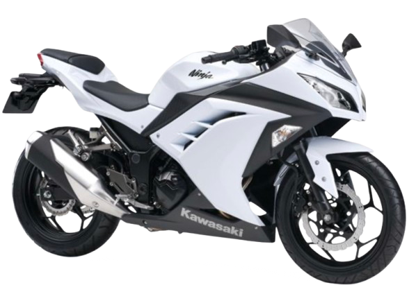 【2013年式】 NINJA250 /Special|パールスターダストホワイト