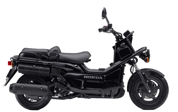 【2006年式】 PS250