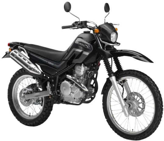 セロー250 (SEROW) 【DG11J|2005~07年式】|2005年式 ダークグレーメタリックE