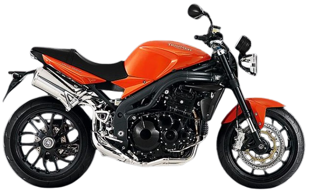 【2010年式】スピードトリプル