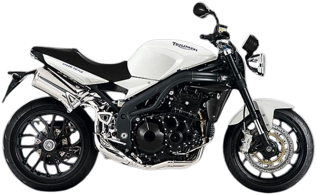 【2010年式】スピードトリプル