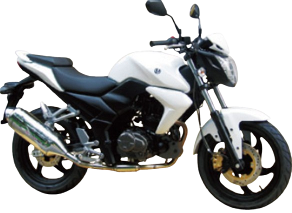 【2014年式】SYM T1 125