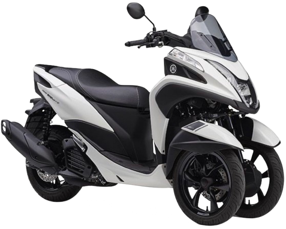 トリシティ155【SG81J型 2023~24年】|2023年式 ホワイトメタリック6