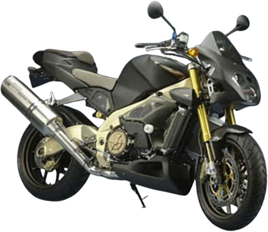 トゥオーノ1000 (TUONO)【2002～10年】