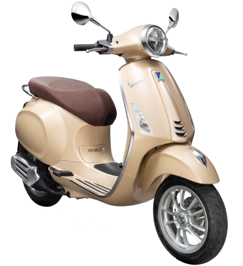 【2019年式】プリマベーラ125