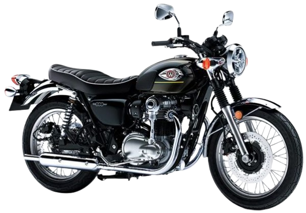 【2025年式】W800｜メタリックブリリアントゴールデンブラック×エボニー