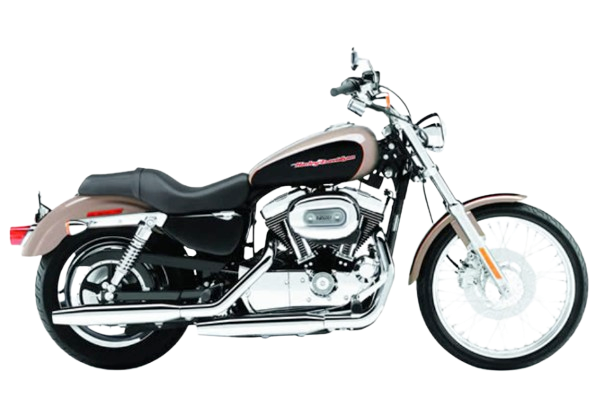 XL1200C カスタム 【キャブ車 1996~06年式】|2004年式 スモーキーゴールド × ビビッドブラック