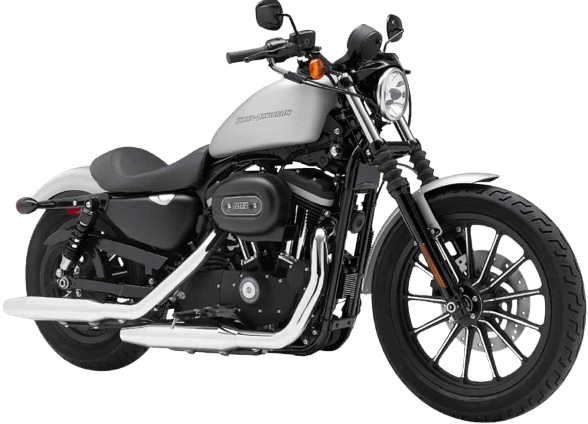 【2009年式】 XL883N アイアン