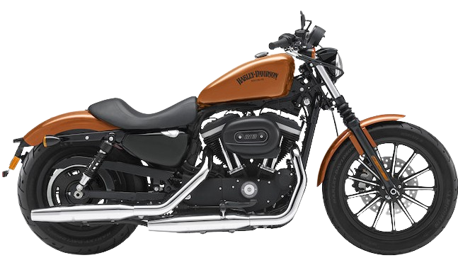 【2014年式】 XL883N アイアン