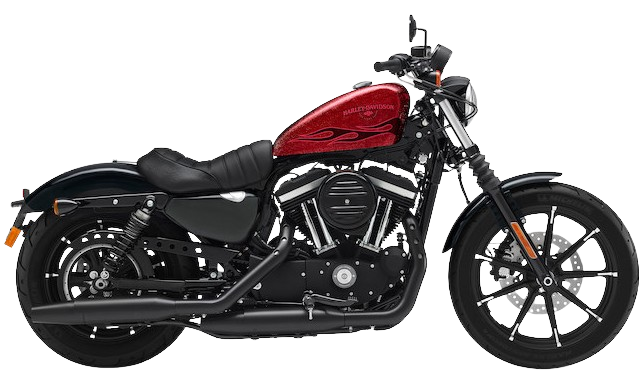 【2017年式】 XL883N アイアン