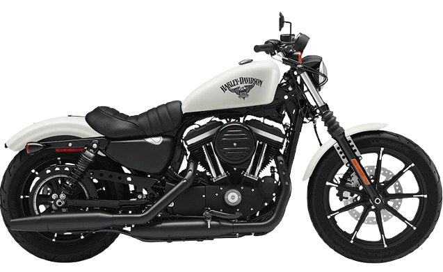 【2018年式】 XL883N アイアン