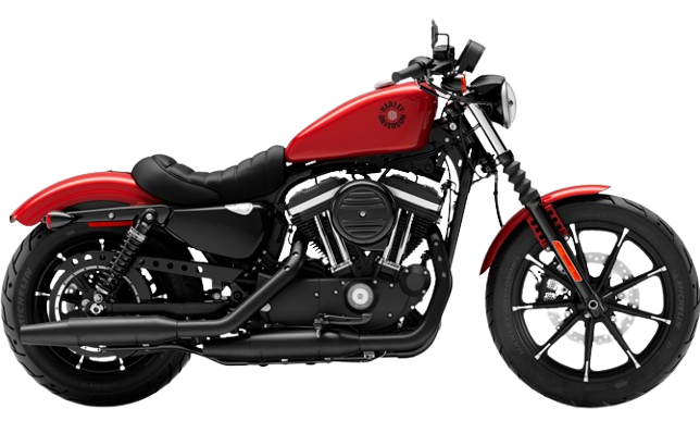 【2019年式】 XL883N アイアン