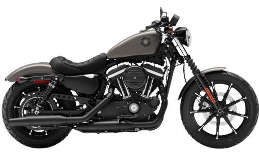 【2019年式】 XL883N アイアン