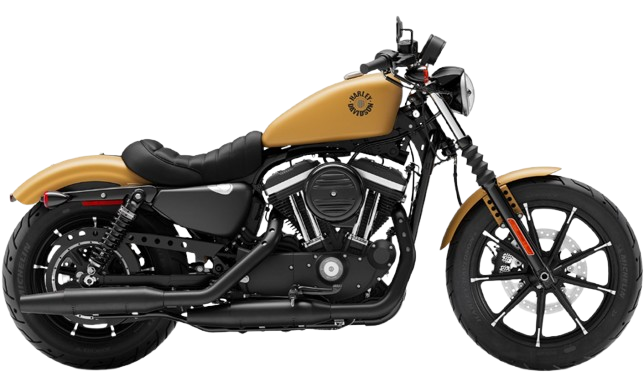 【2019年式】 XL883N アイアン