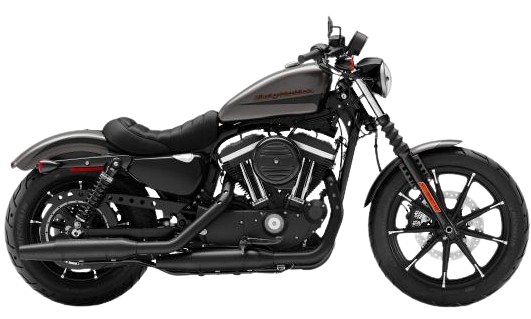 【2019年式】 XL883N アイアン