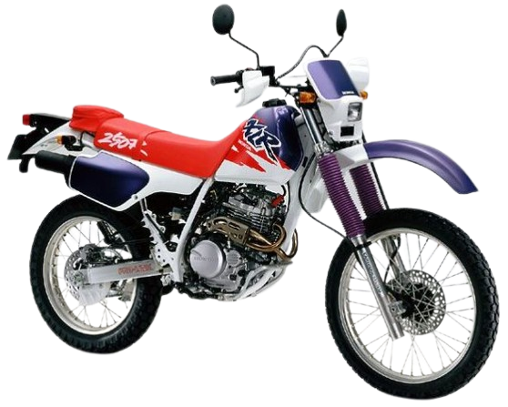 【1994年式】XLR250R/スペシャル｜シャスタホワイト（スペシャルモデル）