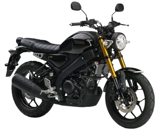 XSR125【2024～現行】