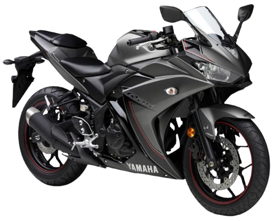 YZF-R25 ABS 【RG10J|2015~17年式】|2016年式 マットグレーメタリック3