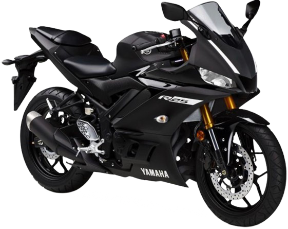 YZF-R25 ABS 【RG43J|2018~20年式】|2019年式 マットブラック2
