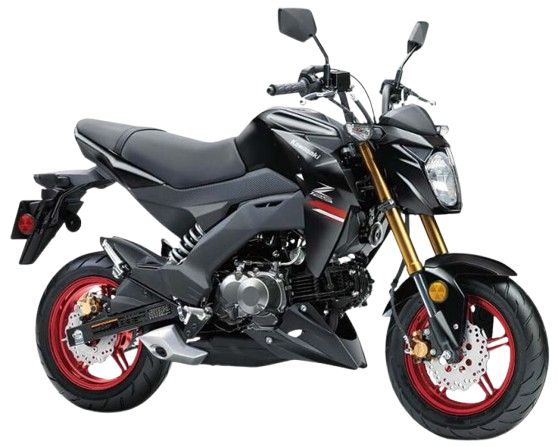 Z125PRO 【海外仕様】｜メタリックフラットスパークブラック