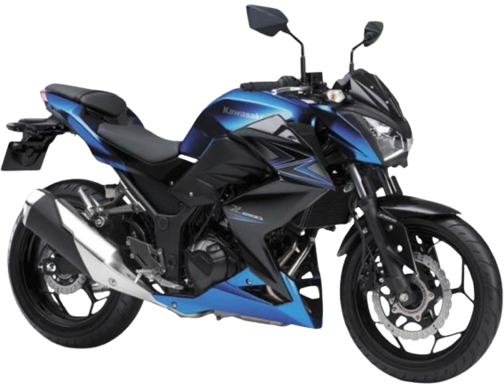 【2015年式】 Z250 ABS|メタリックムーンダストグレー/メタリックフラットスパークブラック