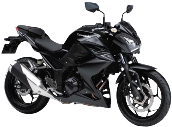 【2016年式】 Z250 ABS|メタリックスパークブラック/メタリックフラットスパークブラック