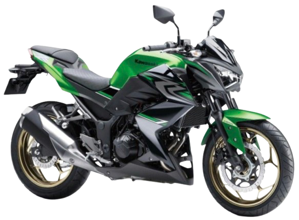 【2017年式】 Z250 ABS|キャンディフラットブレイズドグリーン/メタリックスパークブラック