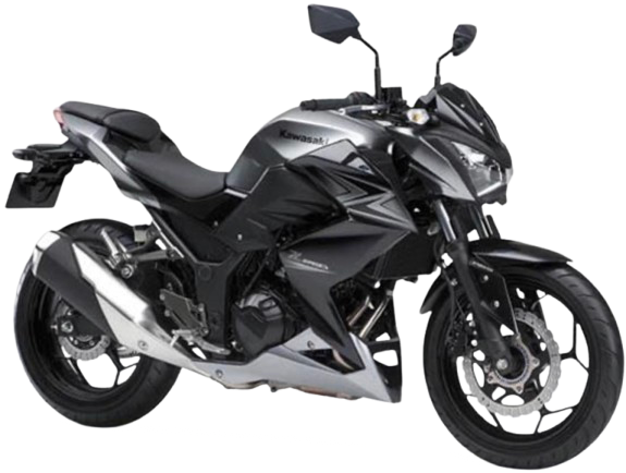 Z250 ABS 【ER250C型|2015~17年式】|2015年式 メタリックムーンダストグレー/メタリックフラットスパークブラック