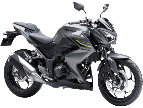 Z250 ABS 【ER250C型|2015~17年式】|2017年式 メタリックグラファイトグレー
