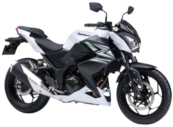 【2014年式】 Z250|パールスターダストホワイト/メタリックフラットスパークブラック