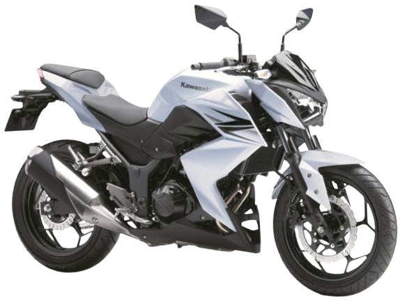 Z250 【ER250C型|2013~14年式】|2013年式 パールスターダストホワイト