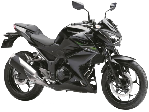 Z250 【ER250C型|2013~14年式】|2013年式 フラットエボニー