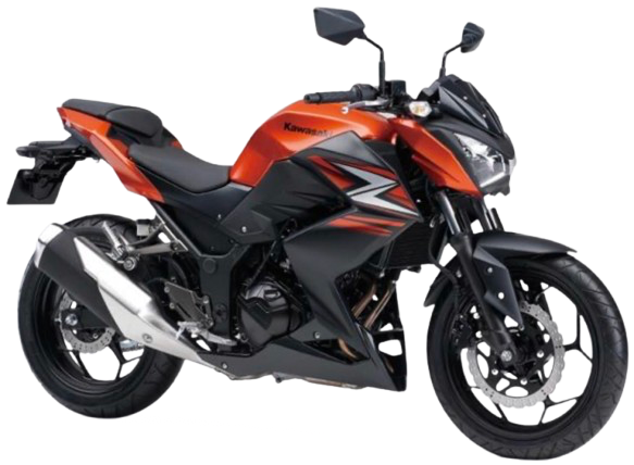 Z250 【ER250C型|2013~14年式】|2014年式 キャンディバーントオレンジ/メタリックフラットスパークブラック