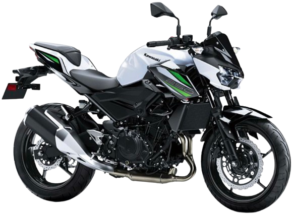 【2019年式】 Z250|パールスターダストホワイト/メタリックスパークブラック