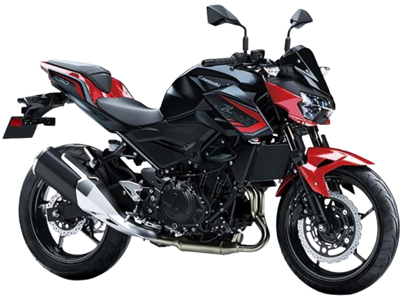 【2021年式】 Z250|キャンディカーディナルレッド/メタリックフラットスパークブラック