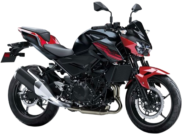 Z250【EX250P型 2019~22年】|2019年式 キャンディカーディナルレッド/メタリックフラットスパークブラック