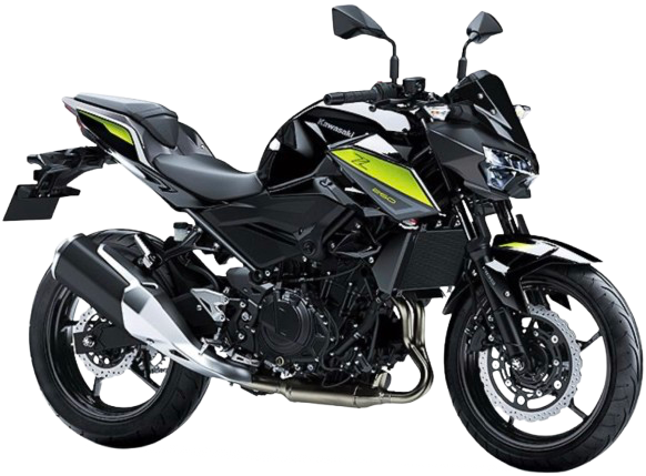 Z250【EX250P型 2019~22年】|2022年式 キャンディライムグリーン/メタリックスパークブラック