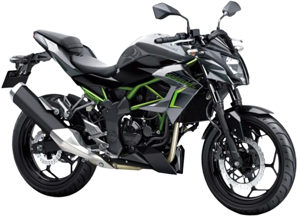 【2017年式】Z250SL