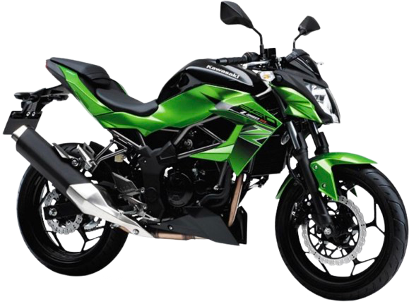 Z250SL【2016~17年式】|2016年式 キャンディライムグリーン/メタリックスパークブラック